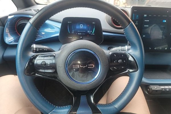 BYD Dolphin 2021, 109400 км, за 9440 USD - фото 13
