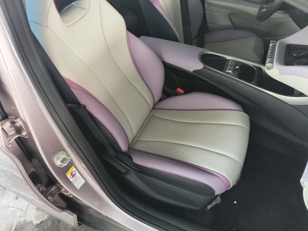 BYD Dolphin 2021, 52500 км, за 9614 USD - фото 12