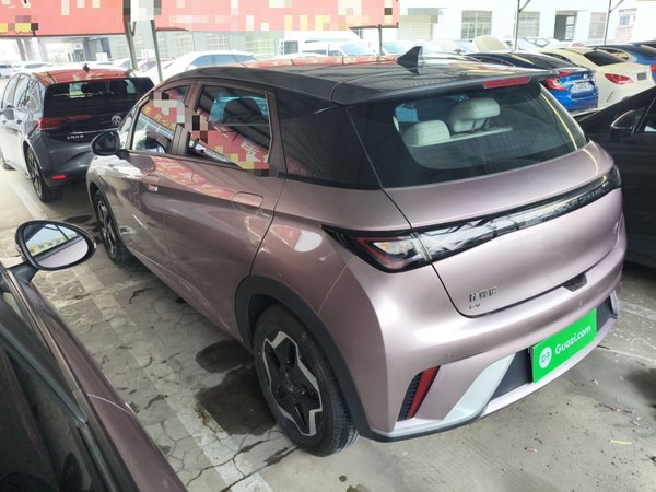 BYD Dolphin 2021, 52500 км, за 9614 USD - фото 6