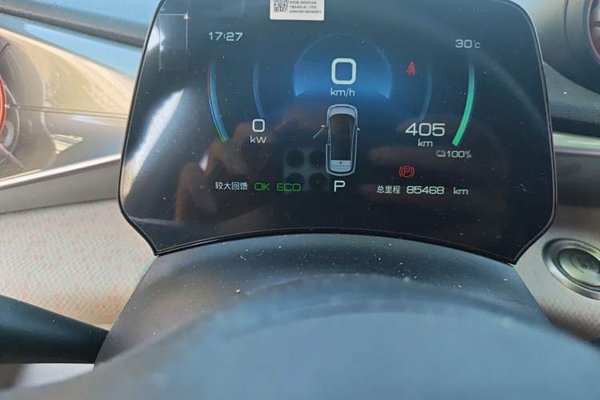 BYD Dolphin 2021, 85399 км, за 8027 USD - фото 12