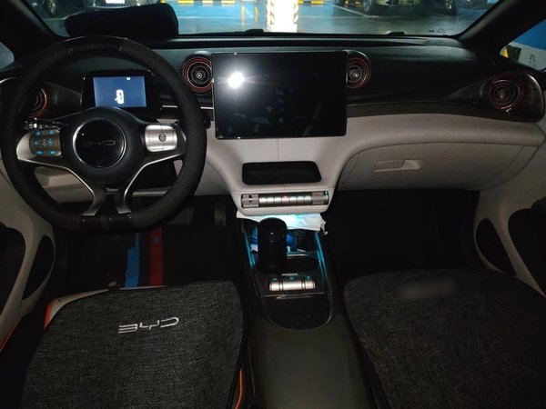 BYD Dolphin 2021, 95200 км, за 8825 USD - фото 6