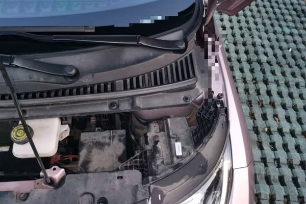 BYD Dolphin 2023, 63900 км, за 8141 USD