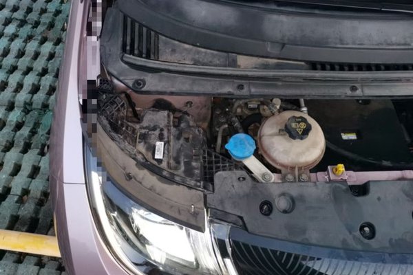 BYD Dolphin 2023, 63900 км, за 8141 USD