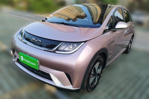 BYD Dolphin · 2023 год