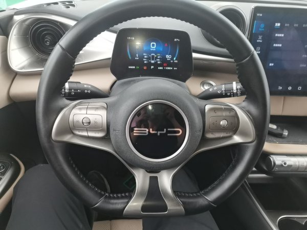 BYD Dolphin 2023, 110900 км, за 8393 USD - фото 14