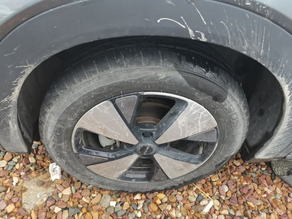 BYD Dolphin 2023, 110900 км, за 8393 USD - фото 8