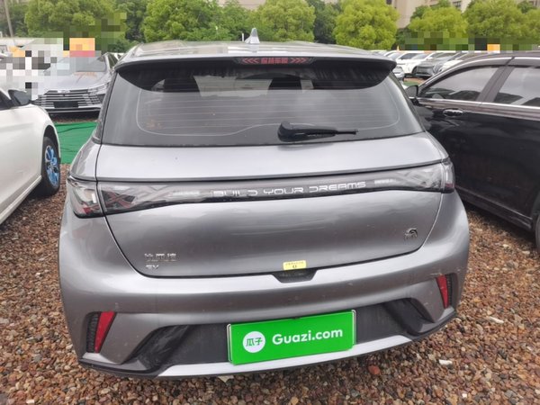 BYD Dolphin 2023, 110900 км, за 8393 USD