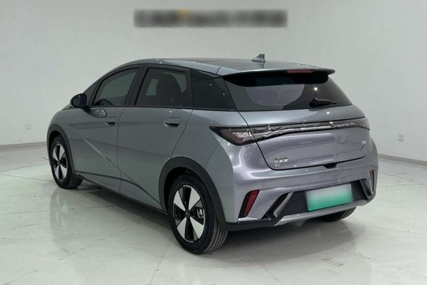 BYD Dolphin 2023, 27800 км, за 12544 USD