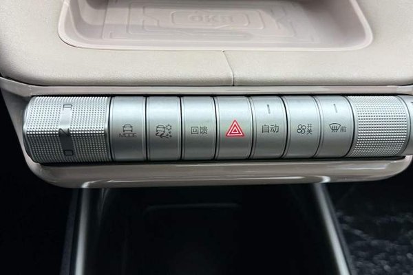 BYD Dolphin 2023, 27800 км, за 12544 USD - фото 13