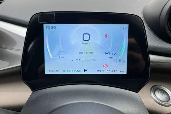 BYD Dolphin 2023, 27800 км, за 12544 USD - фото 8
