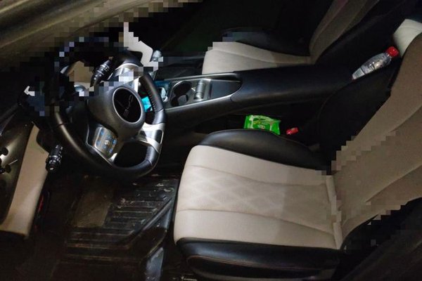 BYD Dolphin 2023, 30099 км, за 9203 USD - фото 16