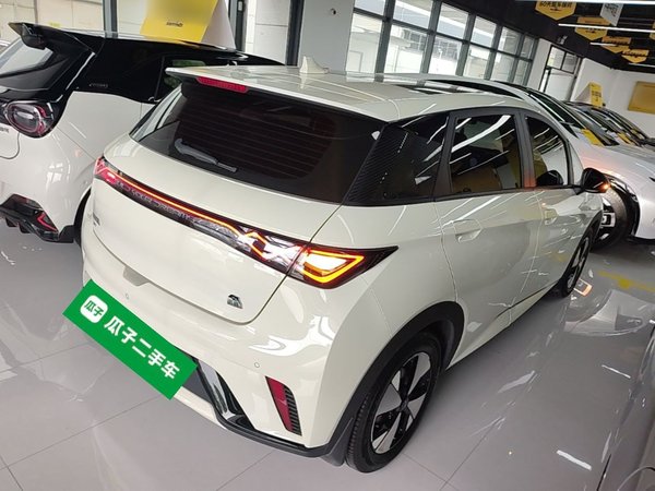 BYD Dolphin 2023, 24800 км, за 11584 USD - фото 18