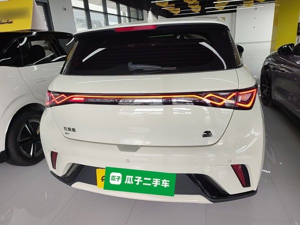 BYD Dolphin 2023, 24800 км, за 11584 USD