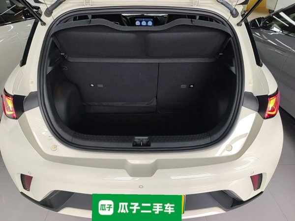 BYD Dolphin 2023, 24800 км, за 11584 USD - фото 12