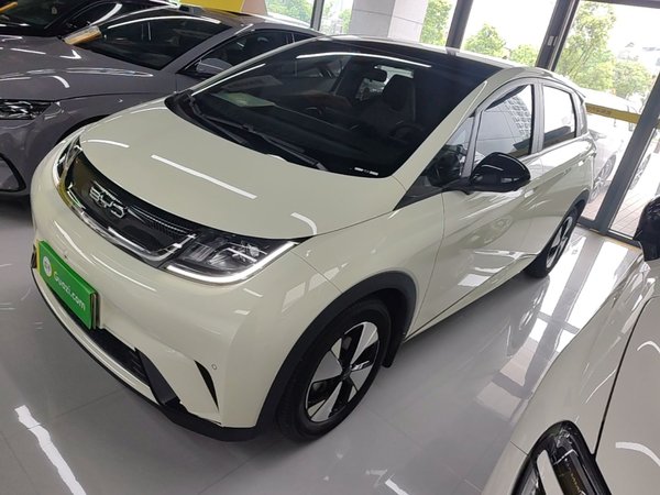 BYD Dolphin · 2023 год
