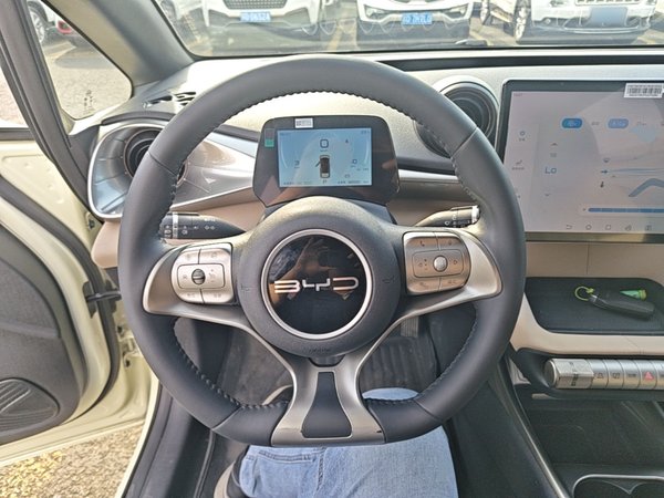 BYD Dolphin 2023, 38900 км, за 12159 USD - фото 14