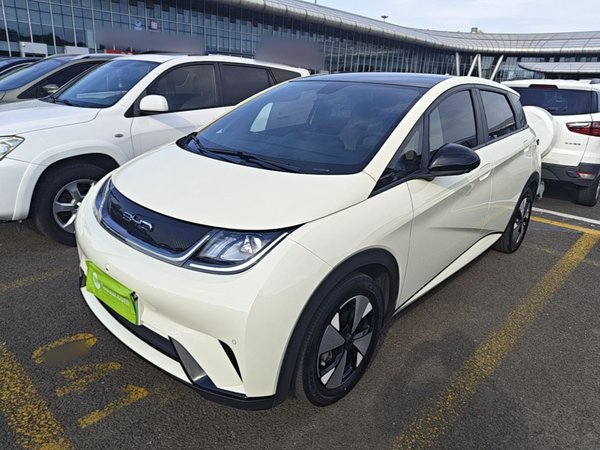 BYD Dolphin · 2023 год