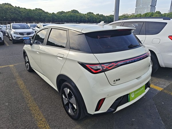 BYD Dolphin 2023, 38900 км, за 12159 USD