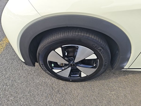 BYD Dolphin 2023, 38900 км, за 12159 USD - фото 8