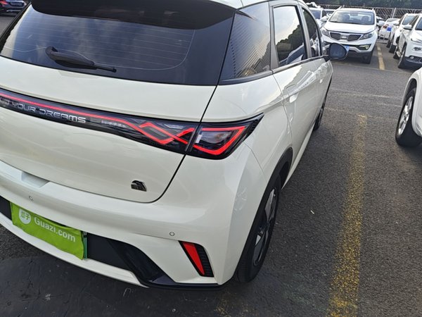 BYD Dolphin 2023, 38900 км, за 12159 USD - фото 7
