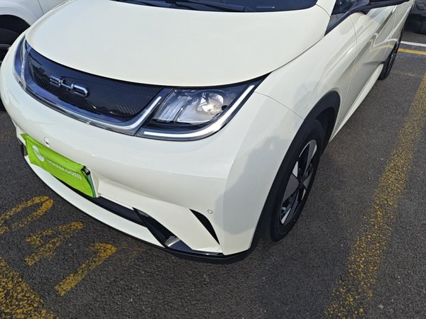 BYD Dolphin 2023, 38900 км, за 12159 USD - фото 9