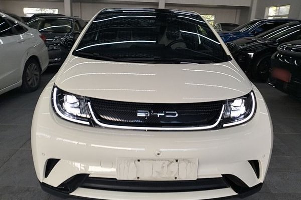 BYD Dolphin 2023, 42700 км, за 10829 USD