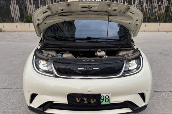 BYD Dolphin 2023, 51300 км, за 10718 USD - фото 30