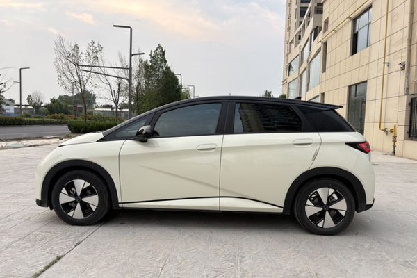 BYD Dolphin 2023, 51300 км, за 10718 USD - фото 10