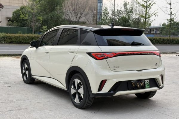 BYD Dolphin 2023, 51300 км, за 10718 USD - фото 11