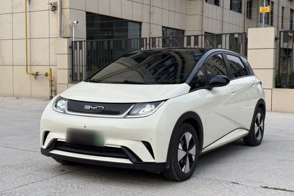 BYD Dolphin · 2023 год
