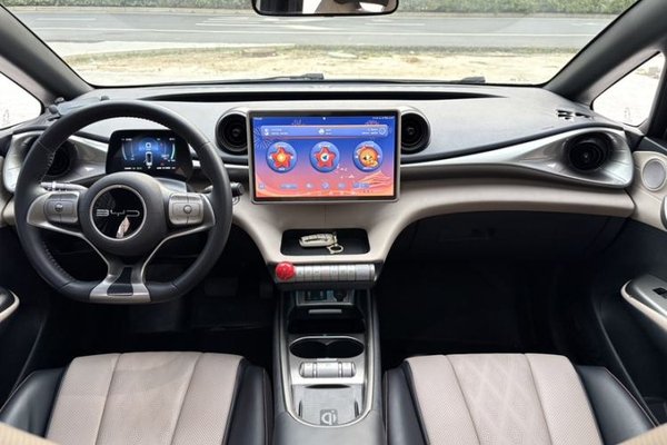 BYD Dolphin 2023, 51300 км, за 10718 USD - фото 24
