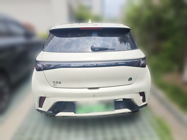 BYD Dolphin 2023, 15700 км, за 10804 USD