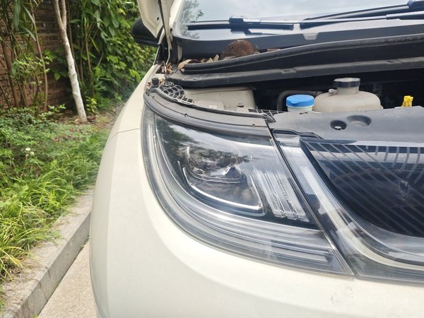 BYD Dolphin 2023, 15700 км, за 10804 USD - фото 7