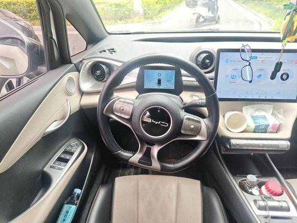 BYD Dolphin 2023, 15700 км, за 10804 USD - фото 9