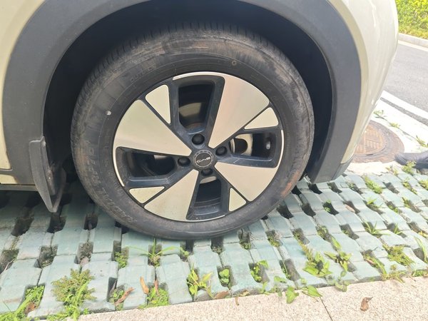 BYD Dolphin 2023, 15700 км, за 10804 USD - фото 8