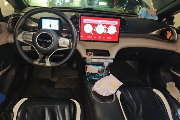 BYD Dolphin 2023, 36300 км, за 9022 USD - фото 10