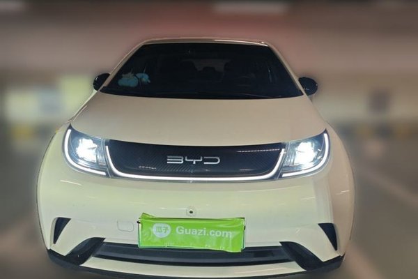 BYD Dolphin 2023, 36300 км, за 9022 USD