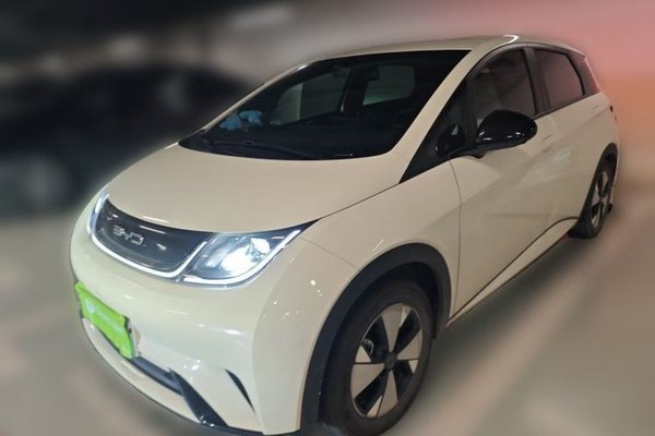 BYD Dolphin · 2023 год