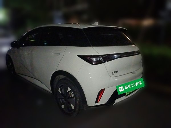 BYD Dolphin 2023, 82899 км, за 9088 USD