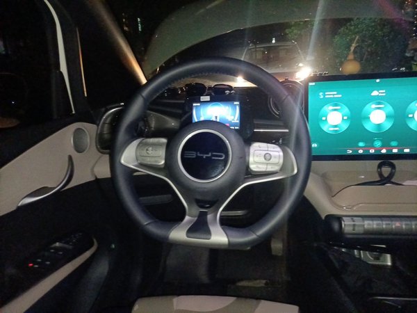 BYD Dolphin 2023, 82899 км, за 9088 USD - фото 11