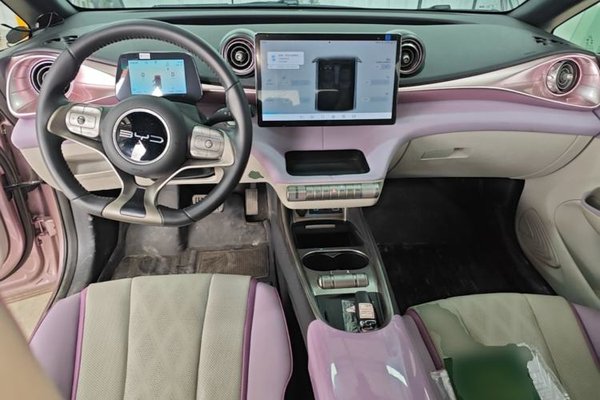 BYD Dolphin 2024, 16299 км, за 11891 USD - фото 13