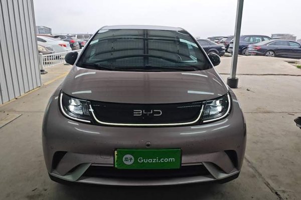 BYD Dolphin 2024, 16299 км, за 11891 USD
