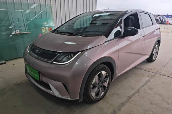 BYD Dolphin · 2024 год