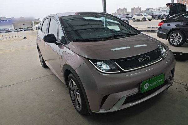 BYD Dolphin 2024, 16299 км, за 11891 USD
