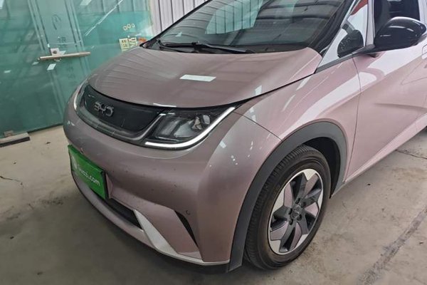BYD Dolphin 2024, 16299 км, за 11891 USD - фото 9