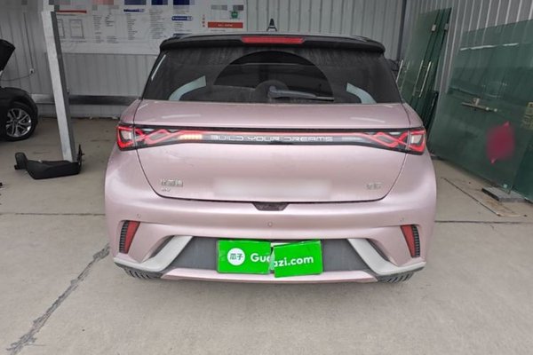 BYD Dolphin 2024, 16299 км, за 11891 USD