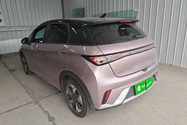 BYD Dolphin 2024, 16299 км, за 11891 USD