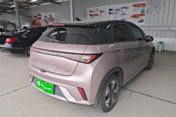 BYD Dolphin 2024, 16299 км, за 11891 USD - фото 6