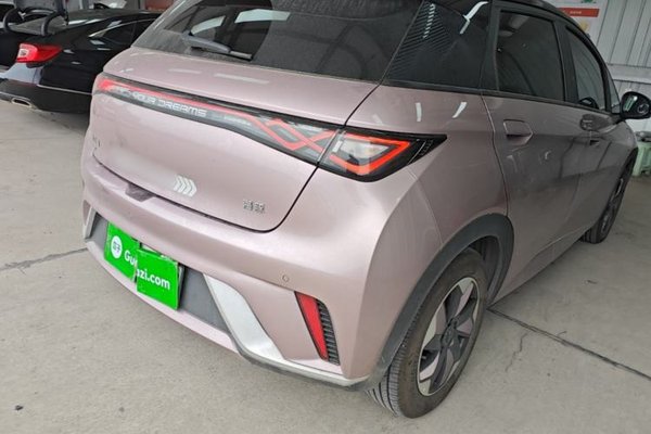 BYD Dolphin 2024, 16299 км, за 11891 USD - фото 7