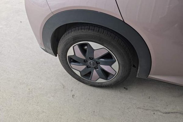 BYD Dolphin 2024, 16299 км, за 11891 USD - фото 10